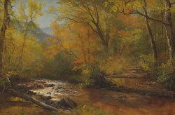 Brook In Woods by Albert Bierstadt