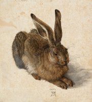 Hare, 1502 by Albrecht Durer