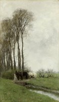 Paarden Bij Het Hek by Anton Mauve