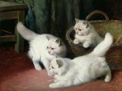 Three White Angora Kittens by Arthur Heyer