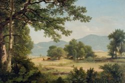 Catskill Meadows In Summer by Asher Brown Durand