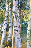 Birch Trees by Carl Larsson