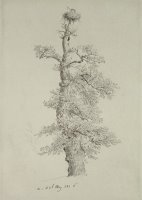 Ancient Oak Tree With A Storks Nest by Caspar David Friedrich