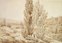 Summer (sepia Ink And Pencil on Paper) by Caspar David Friedrich