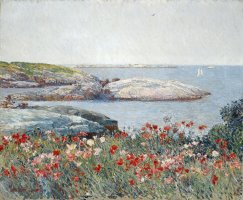 Poppies, Isles of Shoals by Childe Hassam