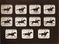 Sallie Gardner Running From The Attitudes of Animals in Motion by Eadweard J. Muybridge