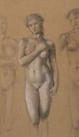 Female Nude by Edward Burne Jones