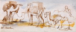 Camels by Edward Lear