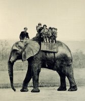 A Farewell Ride on Jumbo from The Illustrated London News by English School