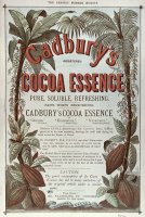 Advertisement For Cadburs Cocoa Essence From The Graphic by English School