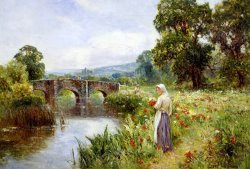 Poppies on The Riverbank by Ernest Walbourn
