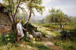 Spring Lambs by Ernest Walbourn