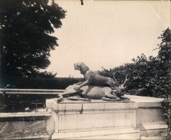 Fontaine Du Point Du Jour, Versailles by Eugene Atget