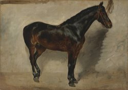 Study of a Brown Black Horse Tethered to a Wall by Eugene Delacroix