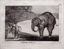Animal Folly by Francisco De Goya