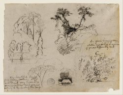 Sketches From South America, Probably From Colombia. Botanical Sketches. a House. by Frederic Edwin Church