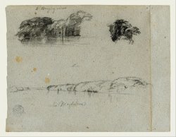 Sketches of Trees, Vines And a Bank of The Rio Magdalena, Columbia by Frederic Edwin Church
