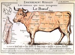 Beef by French School