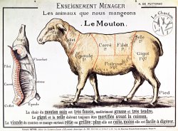Mutton by French School