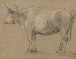 Study of a Cow by Gainsborough, Thomas