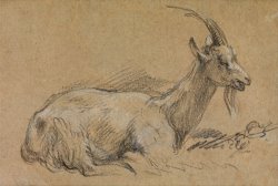 Study of a Goat by Gainsborough, Thomas