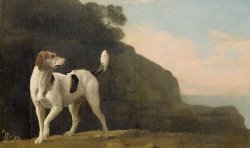 A Foxhound by George Stubbs