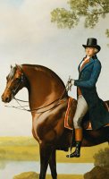 Portrait Of Warren Hastings Small Full Length On His Celebrated Arabian by George Stubbs