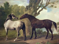 Two Horses In A Landscape by George Stubbs