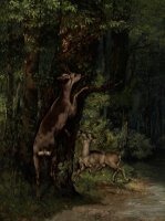 Deer In The Forest by Gustave Courbet
