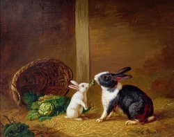  Two Rabbits by H Baert