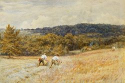 The Reapers by Helen Allingham