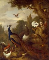 Peacock, Peahen, Parrots, Canary, And Other Birds in a Park by Jacob Bogdani
