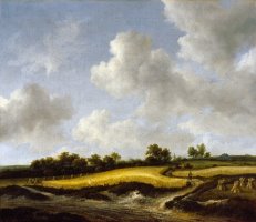 Landscape with a Wheatfield by Jacob Isaacksz. Van Ruisdael