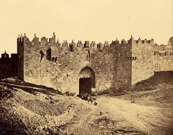 The Damascus Gate by James Robertson