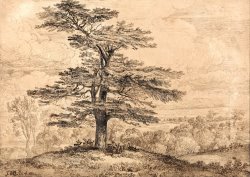 A Cedar on a Rise with a Herd of Deer Grouped Beneath Its Shade by James Ward