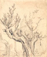 A Gnarled Tree by James Ward