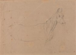 A Mare, Possibly a Study for 