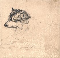 Arctic Dog, Facing Left by James Ward