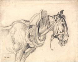 Head And Shoulders of a Cart Horse by James Ward