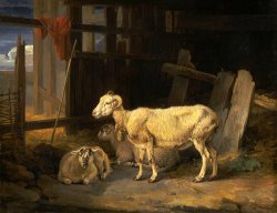 Heath Ewe And Lambs by James Ward