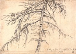 Larch Tree by James Ward