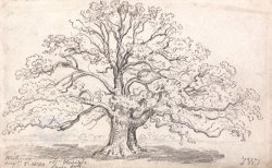 Mr. Howard's Large Oak, August 5, 1820 by James Ward