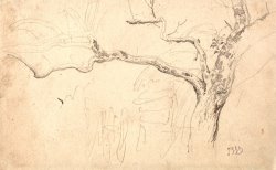 Tree Study by James Ward