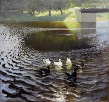 Ducks by Johans Valters