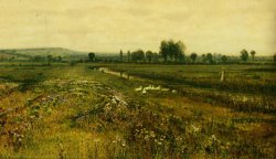 An Extensive Meadow Landscape with Geese by a Stream by John Atkinson Grimshaw