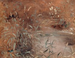 Rushes by a Pool by John Constable