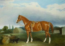 A Chestnut Hunter and a Spaniel by Farm Buildings by John E Ferneley