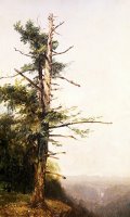 Dying Tree on Mountaintop by John Frederick Kensett