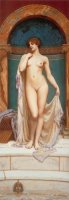 Venus at The Bath by John William Godward