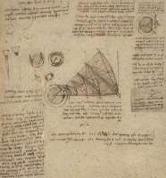 Alteration Of Annulus Without Changing Its Quantity Below Right Study Of Bird Flight From Atlantic by Leonardo da Vinci